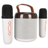 Wireless Karaoke Speakers RGB Light Bluetooth5.3 Speaker with 2 Wireless