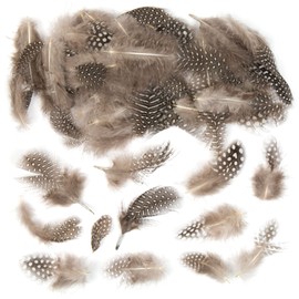 Baker Ross Natural Spotty Feathers for Kids / Adults for Crafts and Decorating of Costume Masks, Pack of 120