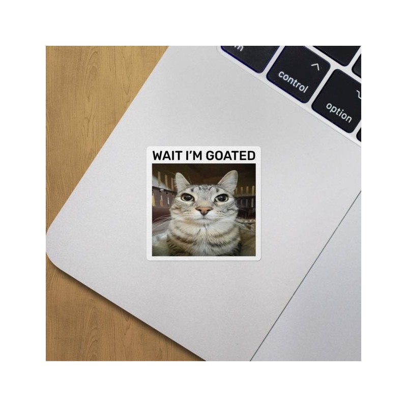 Wait i'm goated cat meme funny positivity silly sticker -