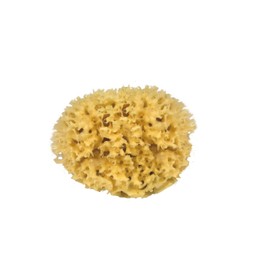 CROLL & DENECKE Natural Sponge