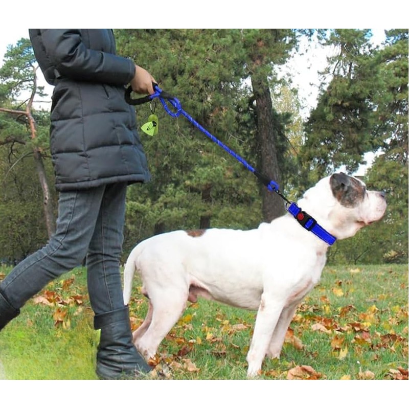 Dog Lead with Soft Padded Handle, 1.2m Reflective Dog Lead