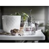 Ikea Plant Mister, Clear Glass 25Cl