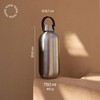 noma noma Insulated Bottle Suitable for Carbonated Drinks, Stainless Steel