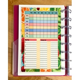 Handmade Nutrition Log DASHBOARD Insert FOR USE with the TUL/Arc (8 disc) Planner