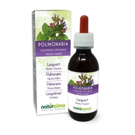 Lungwort (Pulmonaria officinalis) herb with Flowers Alcohol-Free Mother Tincture Naturalma | Liquid Extract Drops 120 ml | Food Supplement | Vegan