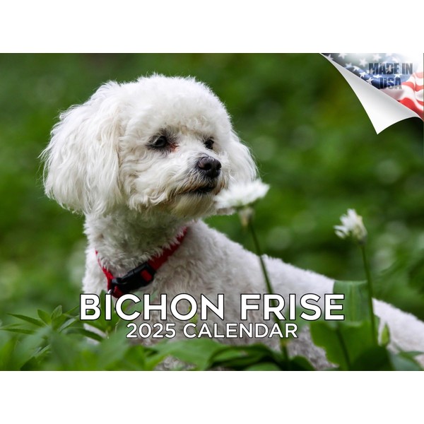 2024 2025 Bichon Frise Calendar - Dog Breed Monthly Wall