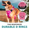 Embark Sports Dog Harness, No Pull Dog Harness with 2