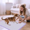 JollyMate 28"x34" Extra Large Dog Pee Pads 100 Counts ,