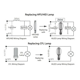 RAB ED23.5 LED Filament Bulb 3600 lm 20W =70W 5000K 120-277V Medium Base