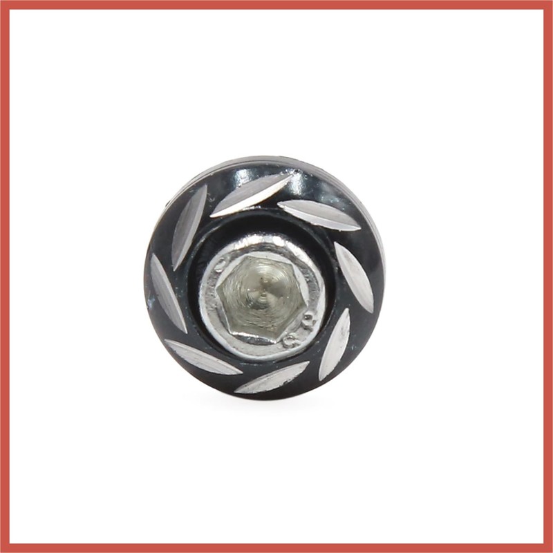 ACROPIX 4pcs Black 6mm Thread Diameter Motorcycle License Plate Frame