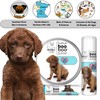 The Blissful Dog Chesapeake Bay Retriever Boo Boo Butter, 0.50-Ounce