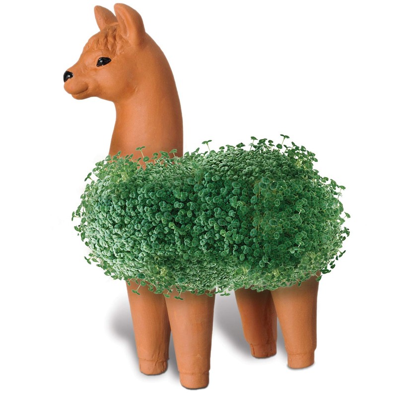 Chia CP439-01 Pet Llama Decorative Pottery Planter, Easy to Do