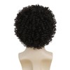 Salaibs Brown Curly Afro Wig for Men Short Fluffy Rocker