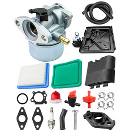 QAGGUM Carburetor Kit Fit for Briggs & Stratton 799868 498170 799872 694202 497586 498254 790821-14111 Model, with Gasket and O-Ring