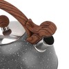 Whistling Kettle 2.5L Capacity Stainless Steel Stovetop Teapot for Water