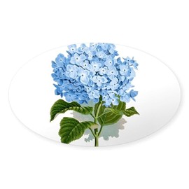 CafePress Blue Hydrangea Flowers Sticker Oval Car Bumper Sticker