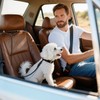 Pawaboo Dog Car Seatbelt, Dog Safety Harness for Car with