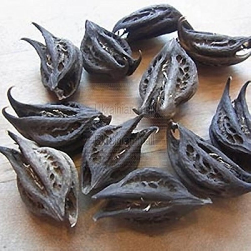 EcoVista Devil's Claw | Natural Herbal Remedy | 8oz Premium