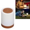 Touch Night Light USB Charging Timing RGB Color Changing Hangable