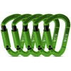 FVW 5 Pack Heavy Duty Climbing Carabiners,25KN UIAA Certified Auto