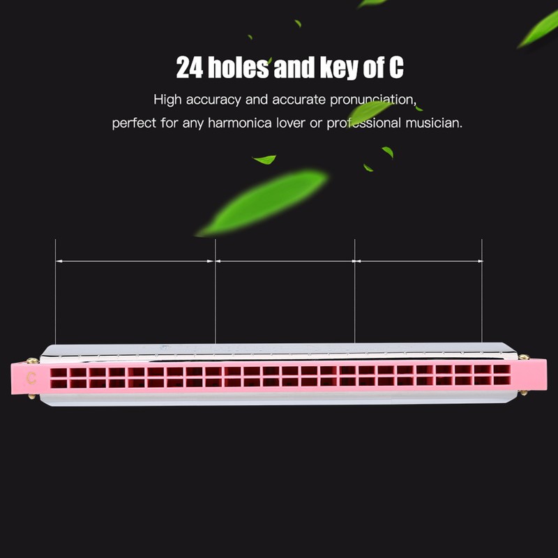 24 Holes Key of C Metal Harmonica Mouth Organ Children