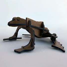 Wooden Frog Kit -Toy Animal Wood – Biodiversity Ecosystem Curriculum Aid – snap Together Desk Sized Frog Toy – boy Toys – Science kit – STEM Toys – Educational Toy - Birthday Gift