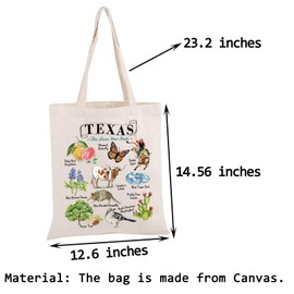 Texas Canvas Tote Bag Texas State Gift Texas Lover Gift Texas Themed Gift Texas Eco Tote Bag, texas canvas tb