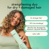 amika Mane menders Strength Repair Wash + Care Set