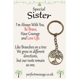 Perfect Message Birthday Gift for Sister, Tree of Life Keyring, Tibetan Silver, Inspirational Keepsake, 70mm