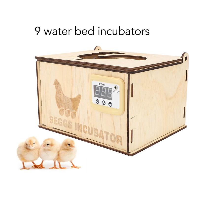 9 Egg Incubator Smart Pine Wood Efficient Thermostat Water Bed