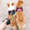 Double Dog Leash Lead 360°No Tangle Heavy Duty Retractable Pet