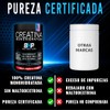 BHP NUTRITION- Creatina Monohidratada alta pureza sabor ponche de frutas