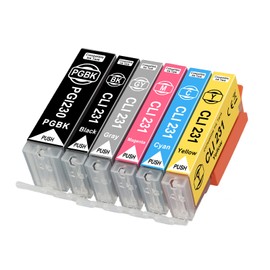High Yield 230XXL 231XXL Ink Cartridge PGI-230 CLI-231 Ink Cartridge Replacement for Canon 230 231 Ink Cartridge for PIXMA TS8820 Inkjet Printer(6Pack,PGBK/BK/C/M/Y/GY)