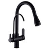 WANFAN Kitchen Sink Faucet with Pull Down Sprayer 2 Handle