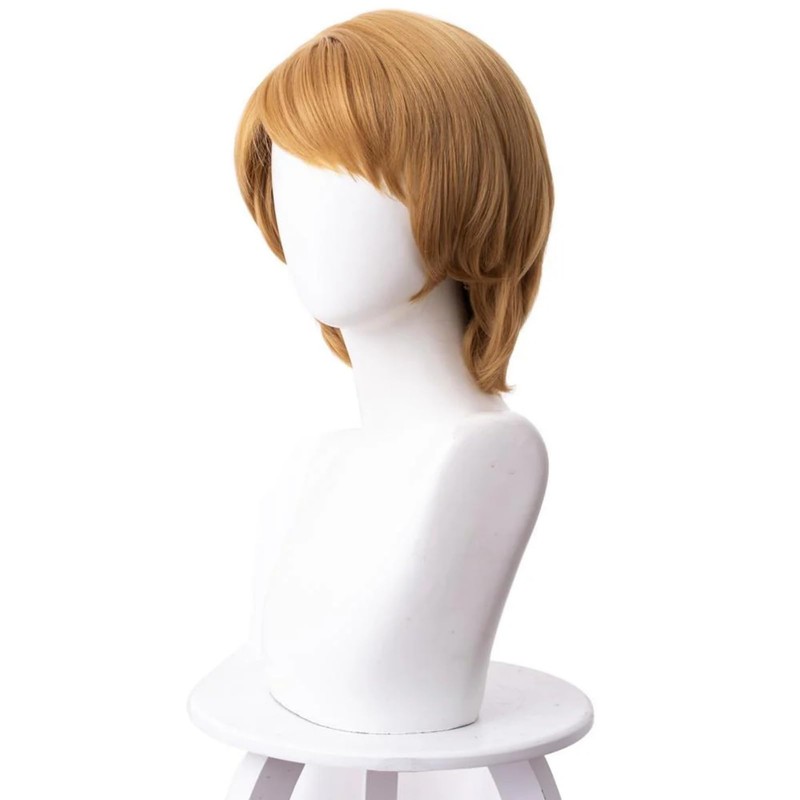 abouder Men Brown Cosplay Wig Short Layered Natural Fluffy Hair