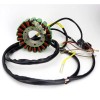 Soarider Magneto Stator Replacement for Polaris ATP 500 2005 3089249