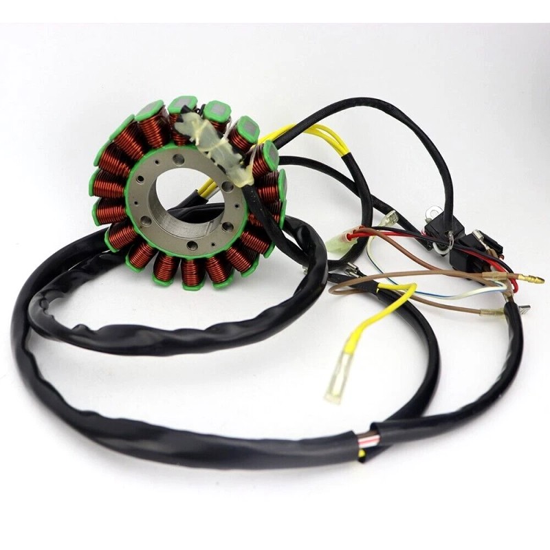 Soarider Magneto Stator Replacement for Polaris ATP 500 2005 3089249