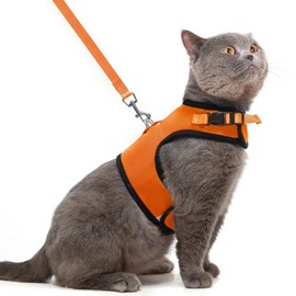 PUPTECK Soft Mesh Cat Vest Harness and Leash Set Puppy Padded Pet Harnesses Escape Proof for Cats Small Dogs Rabbits Bunny