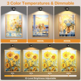 Laliled Picture Lights, 3 Lighting Modes, Stepless Dimming, Sleek 3-Pack Wireless Picture Lights with Remote for Display Case, Picture Frame, Wall Art, Paintings