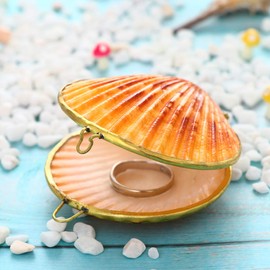 LIOOBO 6 cm Natural Shell Jewellery Box Creative Necklace Ring Earring Container Holder Small Items Organiser for Women Girls - Random Colour, bowl, Shell