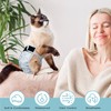 Paw Legend Cat Diapers for Female Cats Spraying Washable Reusable