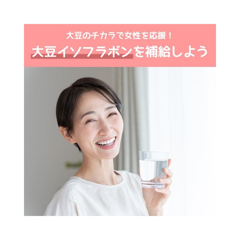 【リプサ公式】 大豆イソフラボン粒 約3か月分×2袋 T-713-2 国内製造