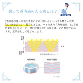 Albran The Emulsion 3 Refill, 2.8 oz (80 g), Moisturizing, Brighter Skin, Transparent, For Night Use