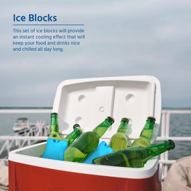 SAVEX Freezer Blocks With Non Toxic & Lightweight Material For Food Fresh Drinks Resuable Ice Packs Cooler Bag, Lunch Box | Ice Blocks For Cool Bags | Freezer Blocks (3)