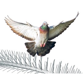 Nixalite Bird Spikes Premium Model S (8ft, 4-2ft Strips)