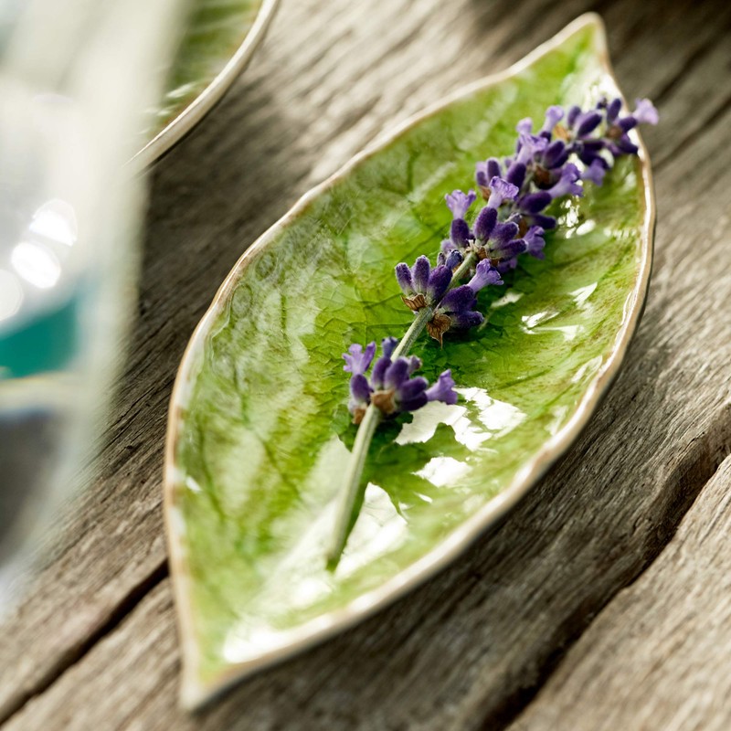 Costa Nova, Riviera Collection 6-Piece Stoneware Tableware Laurel Leaf Tomato