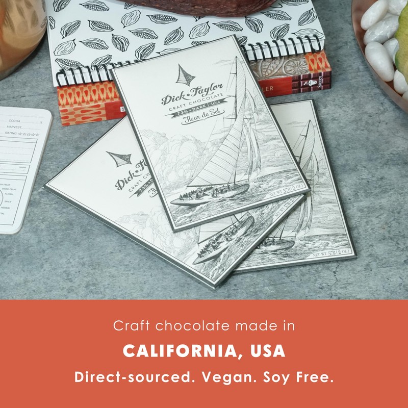 Dick Taylor Fleur De Sel 73% Dark Chocolate 3 Pack