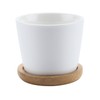 T4U Succulent Planters, Pots with Bamboo Saucers, Rectangular Ceramic Cactus