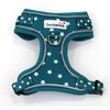 Adjustable Airmesh, Teal Stars Glow in the Dark, 4-7