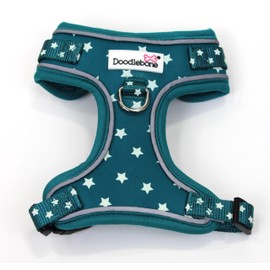 Adjustable Airmesh, Teal Stars Glow in the Dark, 4-7
